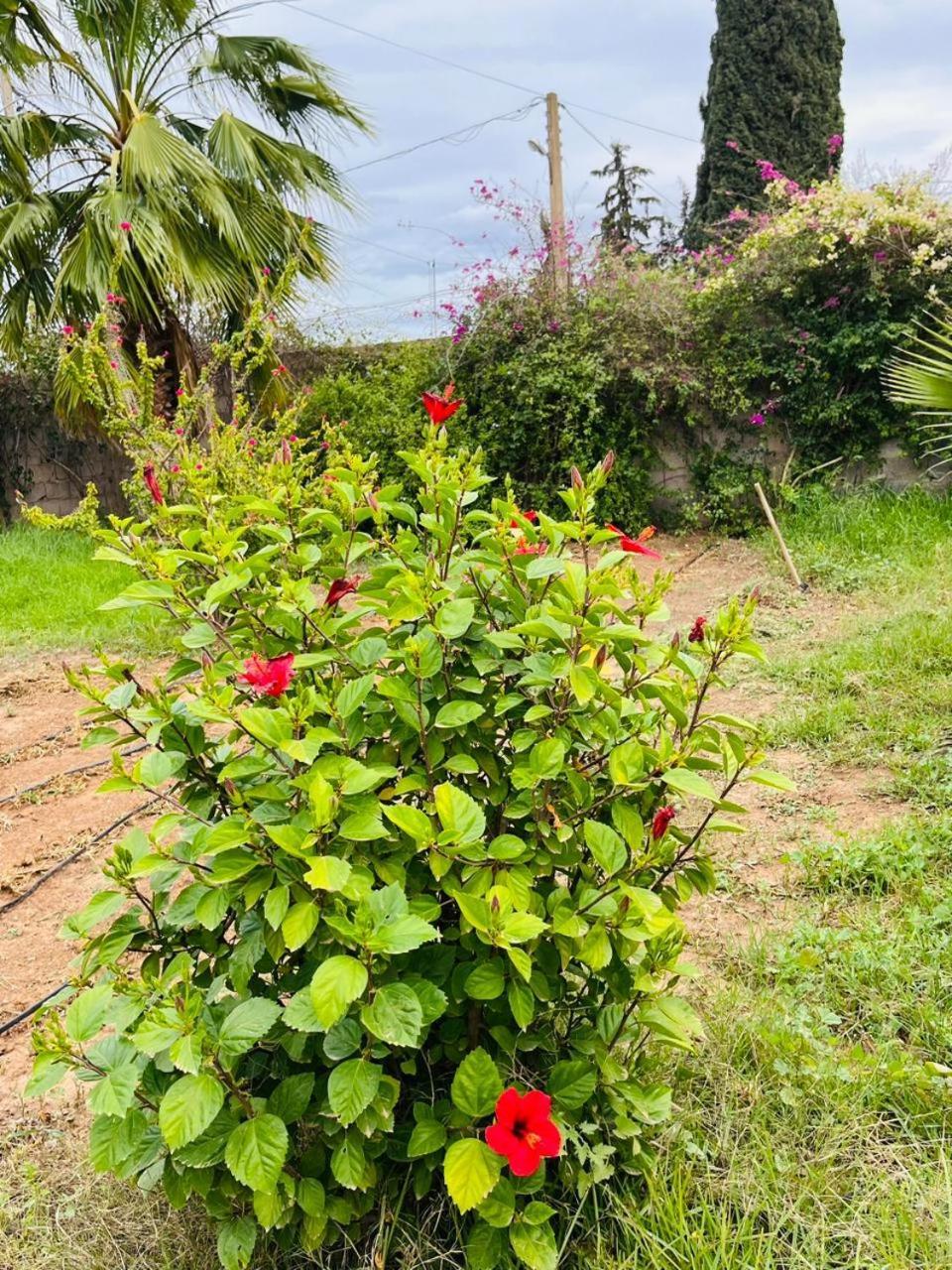 Villa Le Jasmin Oulad Bou Abdallah Εξωτερικό φωτογραφία