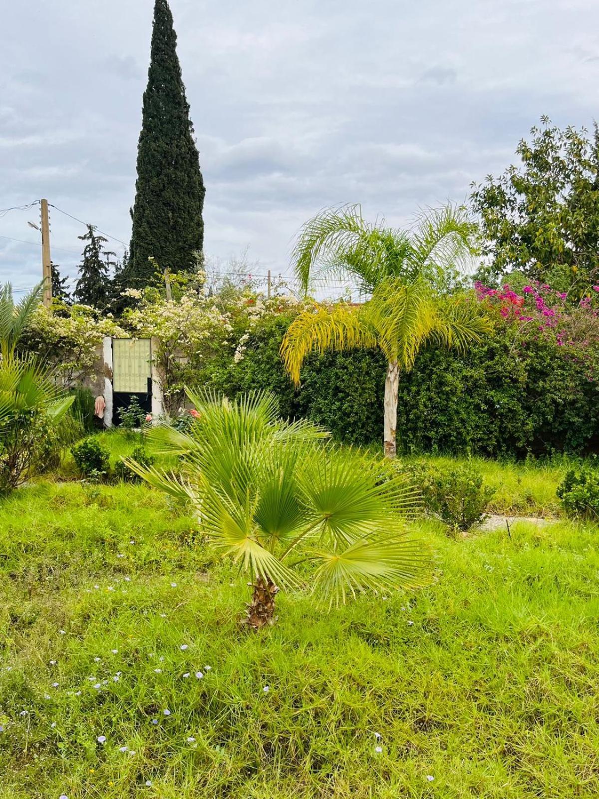 Villa Le Jasmin Oulad Bou Abdallah Εξωτερικό φωτογραφία